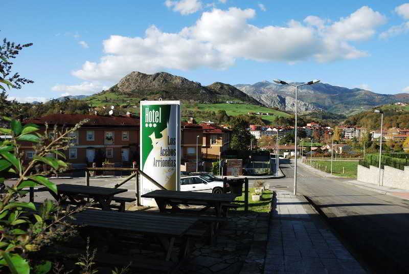 Los Acebos Arriondas Luaran gambar